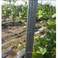 high strangth metal vineyard post/grape stake/vineyard trellis post